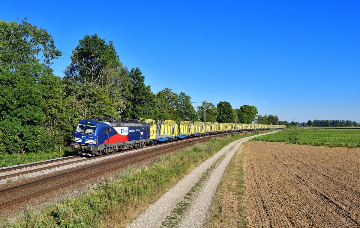 383 001 mit einem leeren Holzzug am 04.08.2022 bei Langenisarhofen.