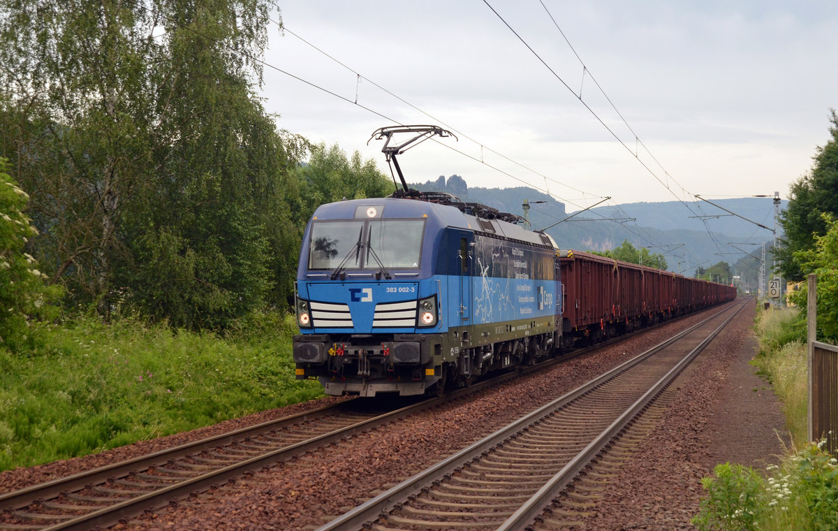 383 002 führte am 10.06.19 einen Hochbordwagenzug durch Krippen Richtung Bad Schandau.