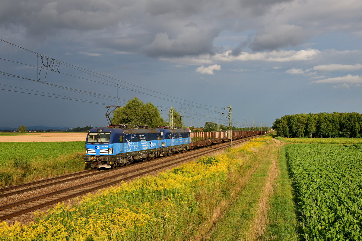383 005 + 383 008 mit einem Rungenwagenzug am 18.08.2020 bei Stephansposching.