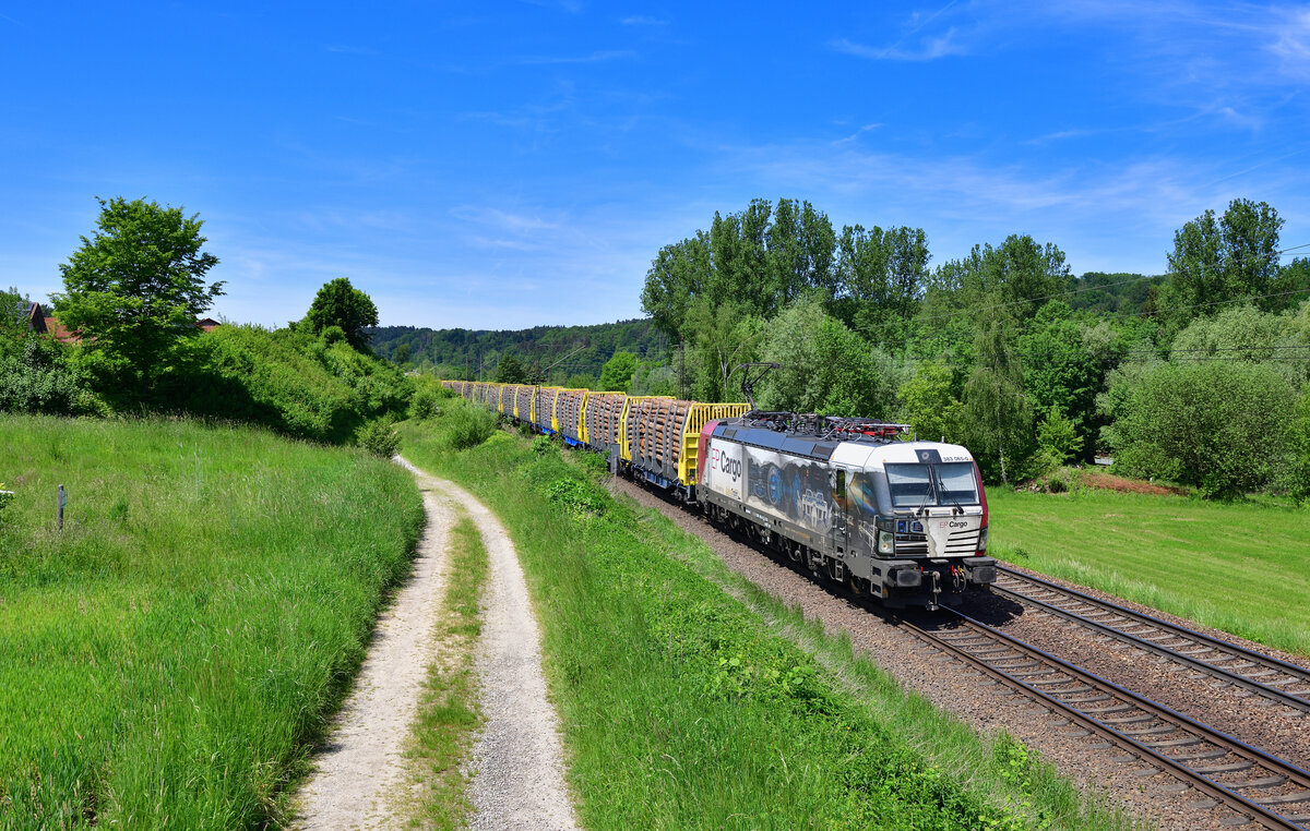 383 065 mit einem Holzzug am 19.05.2022 bei Seestetten.