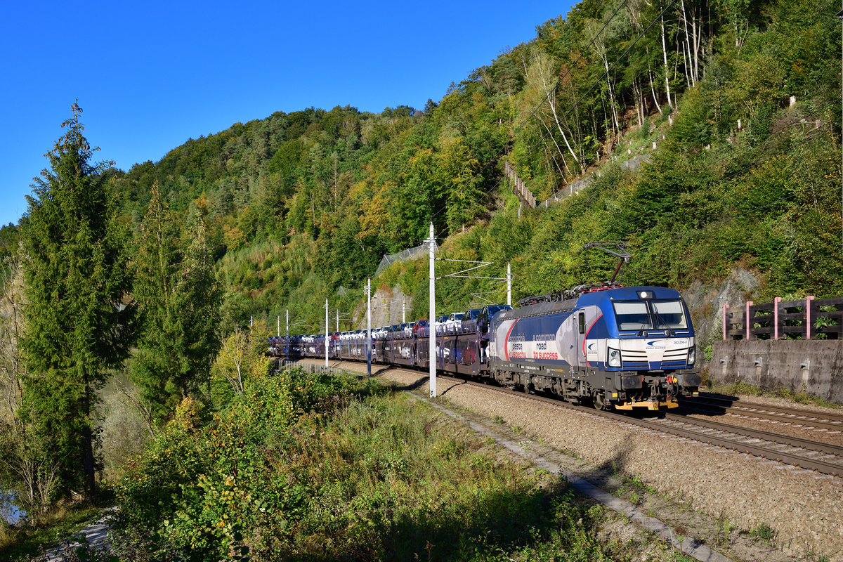 383 206 mit einem Autozug am 27.09.2020 bei Ingling.
