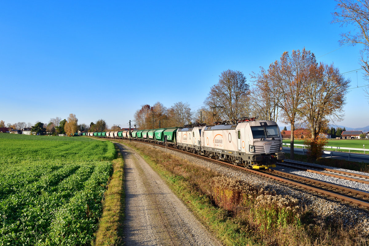 383 215 + 383 211 mit einem Getreidezug am 07.11.2020 bei Langenisarhofen.