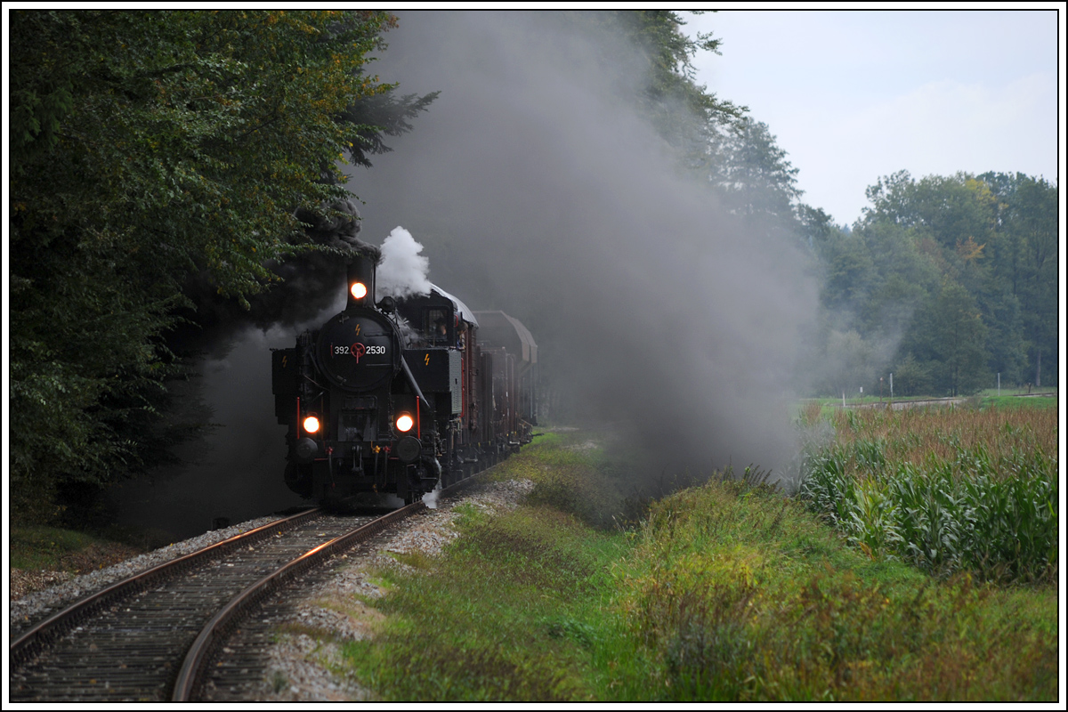 392.2530 mit einem Fotog�terzug am 29.9.2013 auf der hauseigenen �GEG Strecke zwischen Ampflwang und Timelkam n�chst Puchkirchen aufgenommen.

http://www.oegeg.at/index.php/oegeg/start