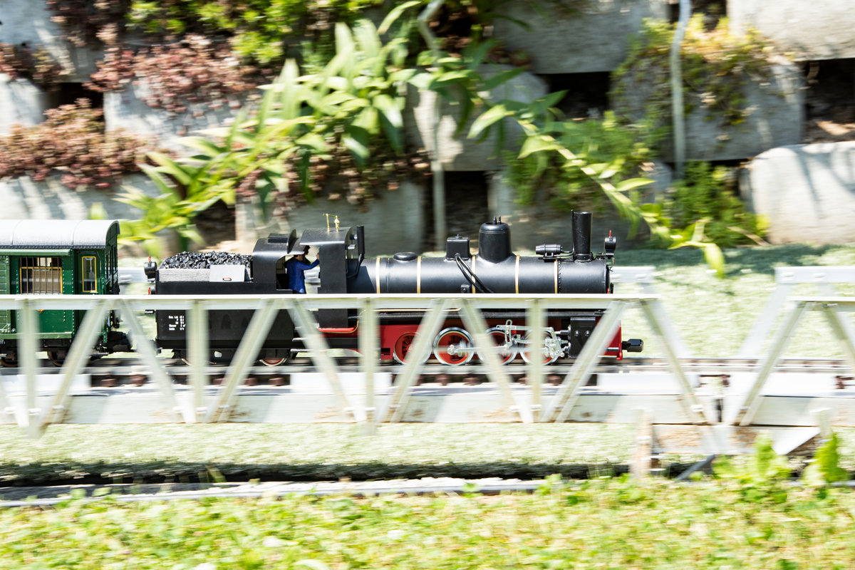 399.03 nimmt mächtig fahrt auf. 
6.07.2019 beim Tag der offenen Türe einer Gartenbahnanlage. 