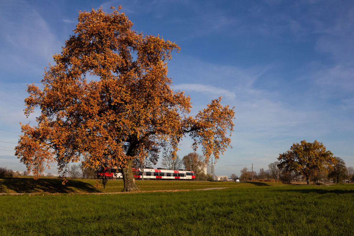 4024 089-7 versucht sich hinter dem hersbtlichen Baum kurz hinter Lustenau zu verstecken. 15.11.20