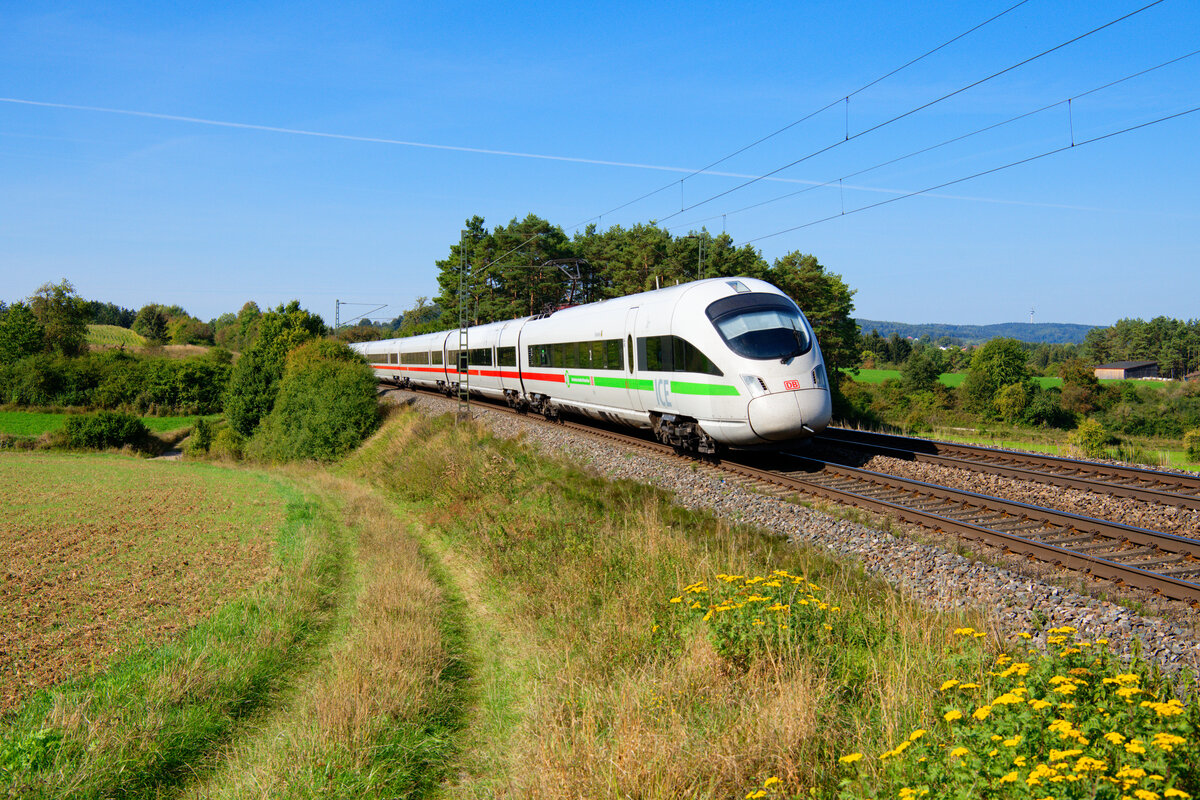 411 005 DB Fernverkehr  Dresden  als ICE 23 (Frankfurt (Main) Hbf - Wien Hbf) bei Parsberg, 14.09.2020