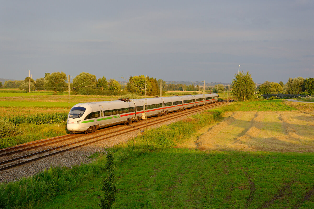 411 019  Meißen  als ICE 20 (Wien Hbf - Frankfurt (Main) Hbf) bei Osterhofen, 21.07.2020