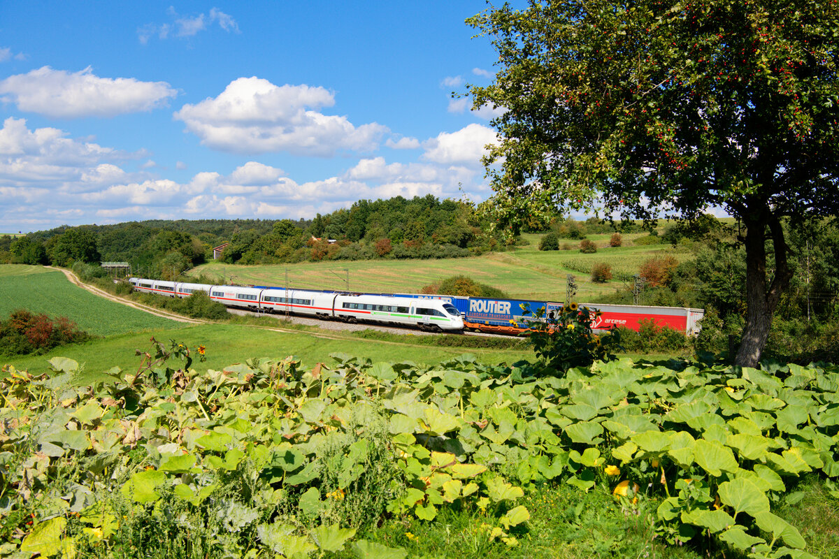 411 066 DB Fernverkehr  Bingen am Rhein  als ICE 93 (Berlin-Gesundbrunnen - Wien Hbf) bei Laaber, 07.09.2020