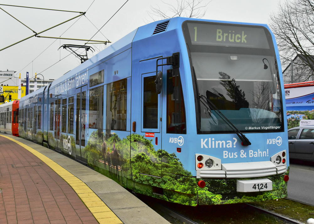 4124 wurde das Dschungel-Motiv zur KVB-Klimakampagne angebracht. Hier zu sehen an der Haltestelle Weiden Schulstraße am 02.12.2014.