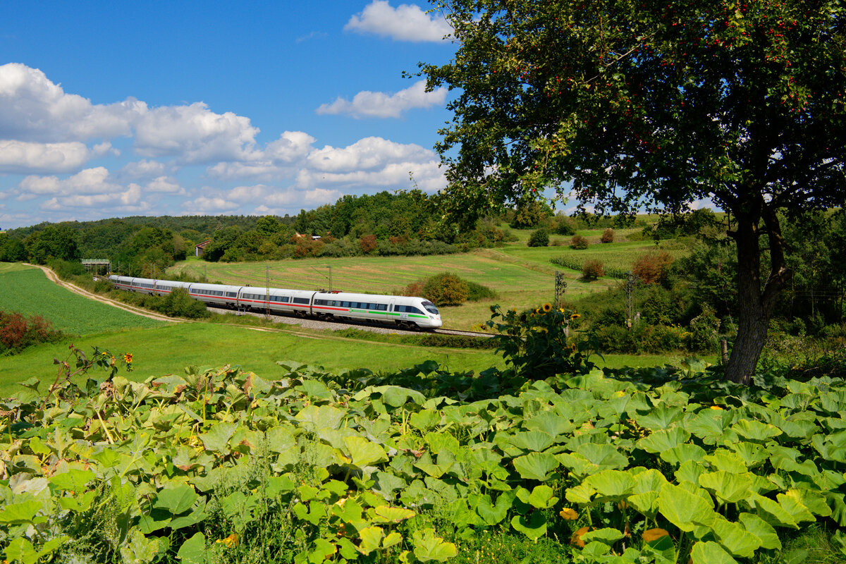 415 084 DB Fernverkehr  Kaiserslautern  als ICE 91 (Hamburg-Altona - Wien Hbf) bei Laaber, 07.09.2020