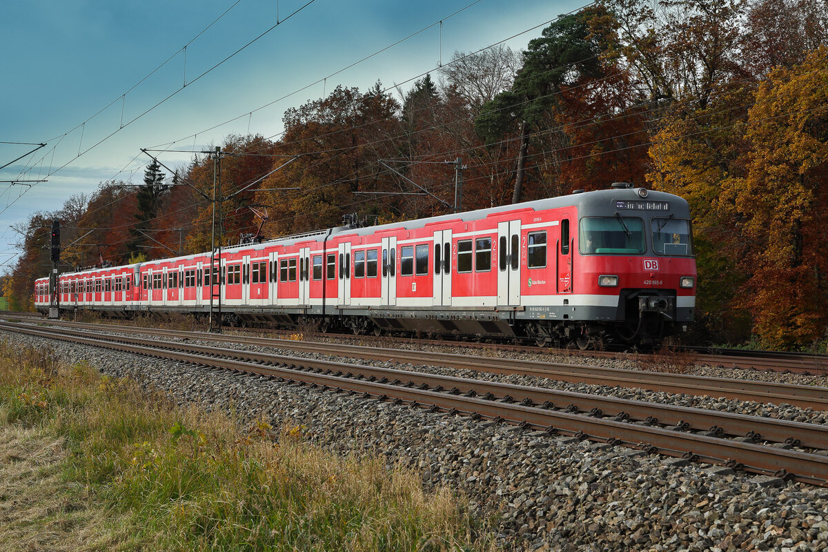 420 965 der S-Bahn München am 2.11.25 bei Eglharting. Einige Jahre waren die alten S-Bahnen nicht mehr auf dieser Strecke unterwegs. Durch Die Stammstreckensperrung in der Innenstadt werden sie im Moment recht häufig hier eingesetzt.