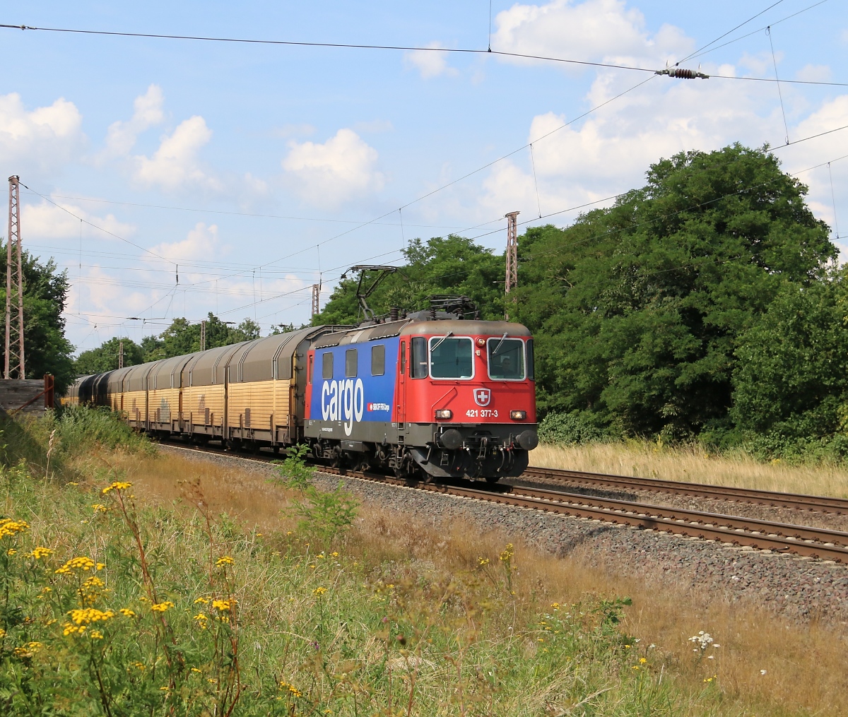 421 377-3 bespannte am 22.07.2014 einen ARS-Autotransportzug in Richtung Süden. Aufgenommen bei Wahnebergen.