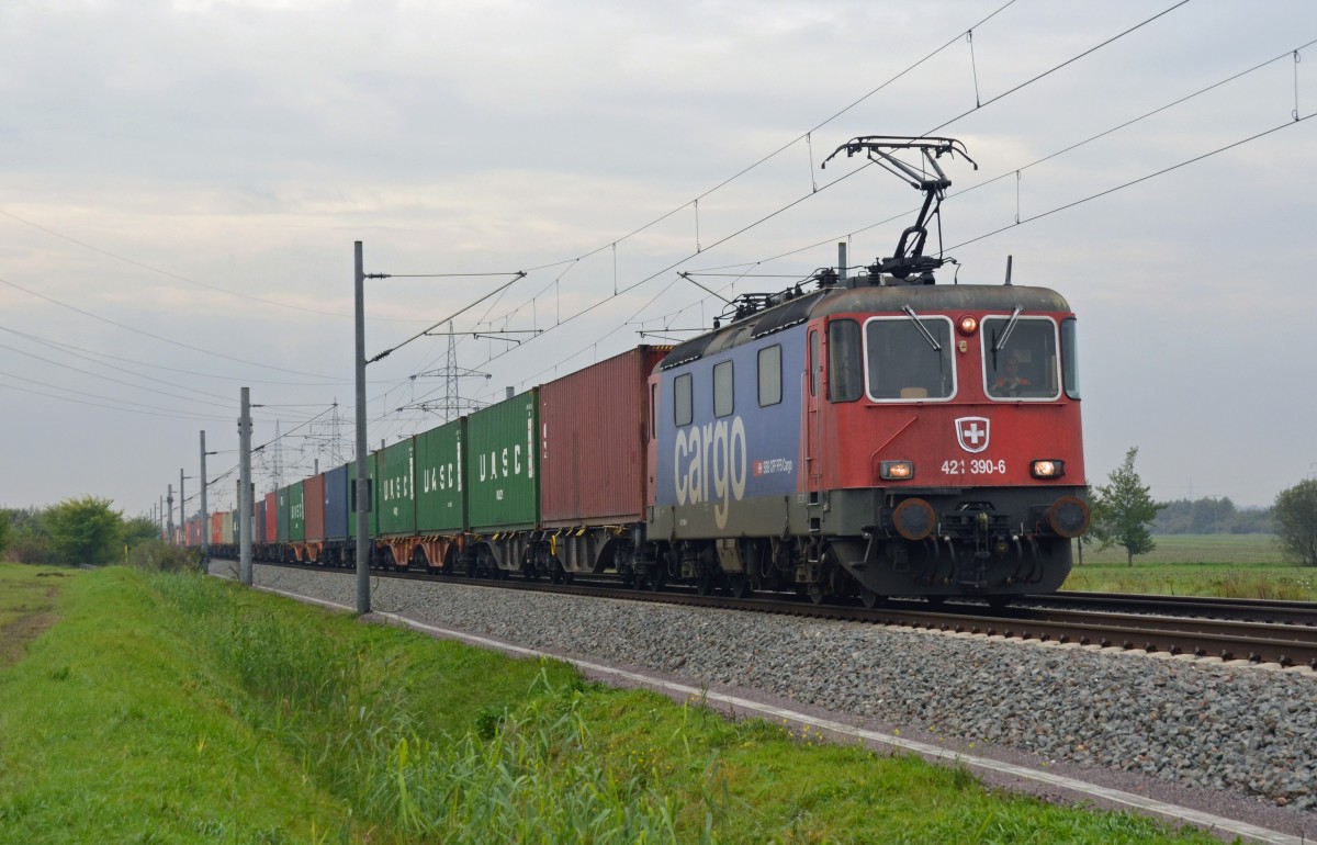 421 390 zog am 16.10.14 einen Containerzug durch Braschwitz Richtung Magdeburg.