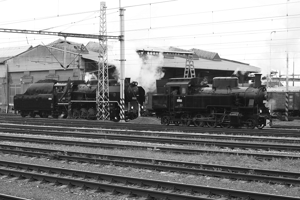 423 009 und 534 0432 am Morgen des 27.September 2014 im Bf. Breclav.