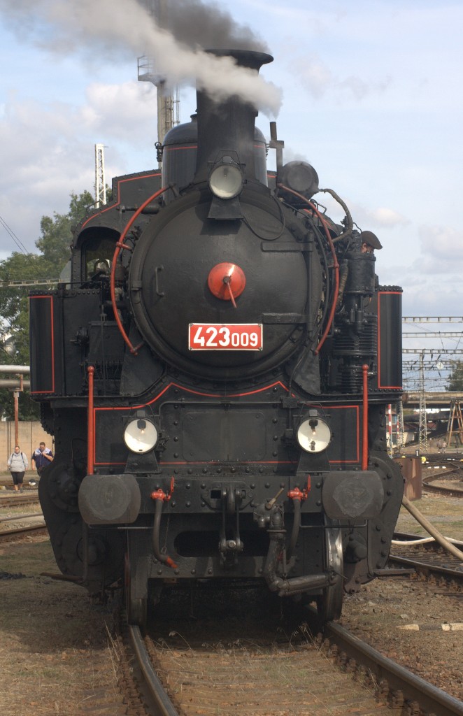 423 009 hat ein kurzes Verschnaufpuschen, bevor sie wieder unzhlige Besucher des Eisenbahnfestes in Hradec Kralove zur Besichtigung einldt. 26.09.2015