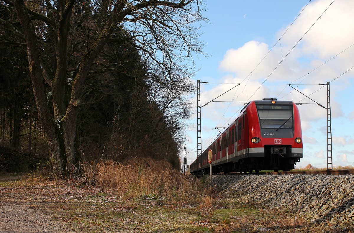 423 200-5, der erste 423 der zweiten Bauart, fuhr mit Höchstgeschwindigkeit zwischen Poing und Markt Schwaben am 25.11.13 und bei -2°C an mir vorbei.