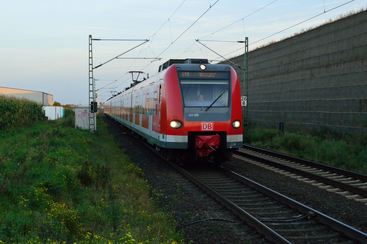 423 550 als S11 nach Düsseldorf Flughafen bei Allerheiligen. 17.9.2014