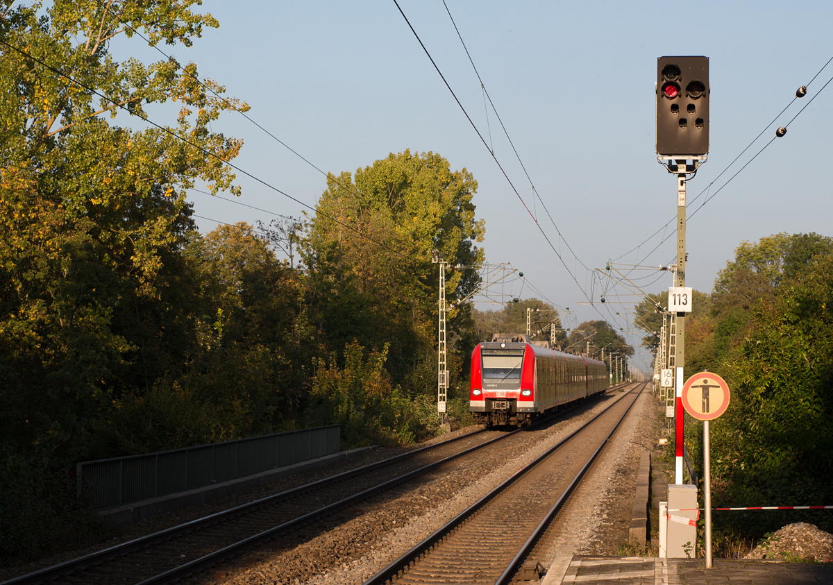 423 611-3 als S2 nach Petershausen befindet sich kurz vor seinem nächsten Halt in Poing am 02.10.14.