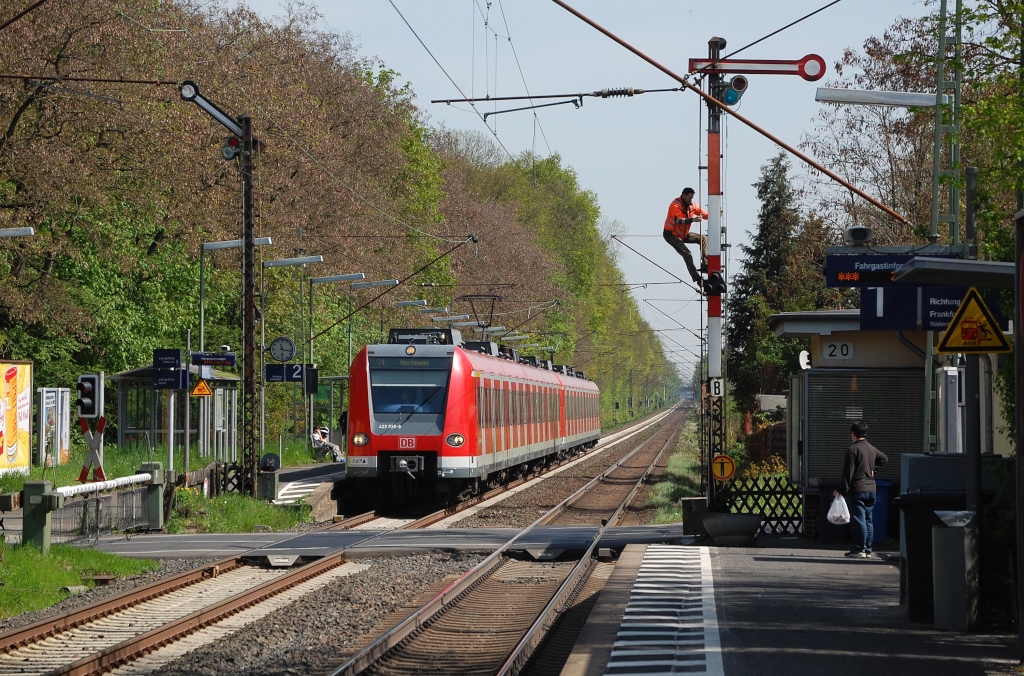423 939 + 423 xxx als S 1 Offenbach Ost - Hochheim am 28.04.2012 in Eddersheim.