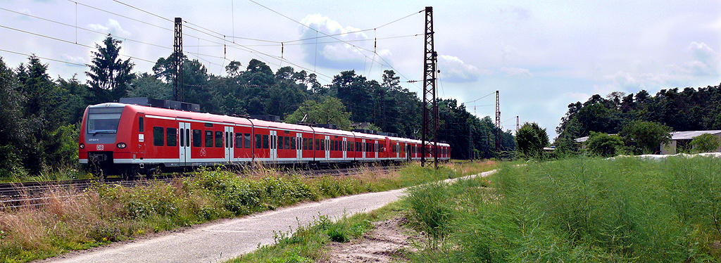 425-623 Karlsruhe-Mannheim, rechts ein typisches Kurpflzer Spargelfeld (schon rausgewachsen) kurz vor Oftersheim am 2.7.13