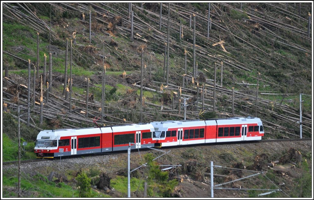 425.954-5 und 425.955-2 befahren ein eben wieder instand gestelltes Stück zwischen Vyšné Hágy und Popradské Pleso. Der positive Punkt dieser  Fällaktion  ist die bessere Sicht auf die Bahn. (04.06.2014)