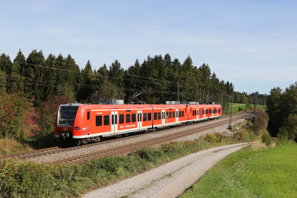 426 033  Ruhpolding  & 426 030  Siegsdorf  auf dem Weg nach München am 1. Oktober 2021 bei Grabenstätt im Chiemgau.