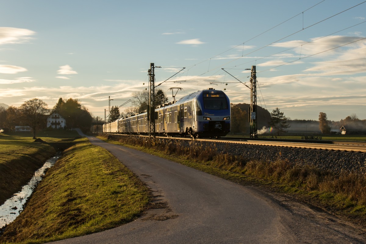 430 019 im Streiflicht bei Übersee, aufgenommen am 6. November 2015.