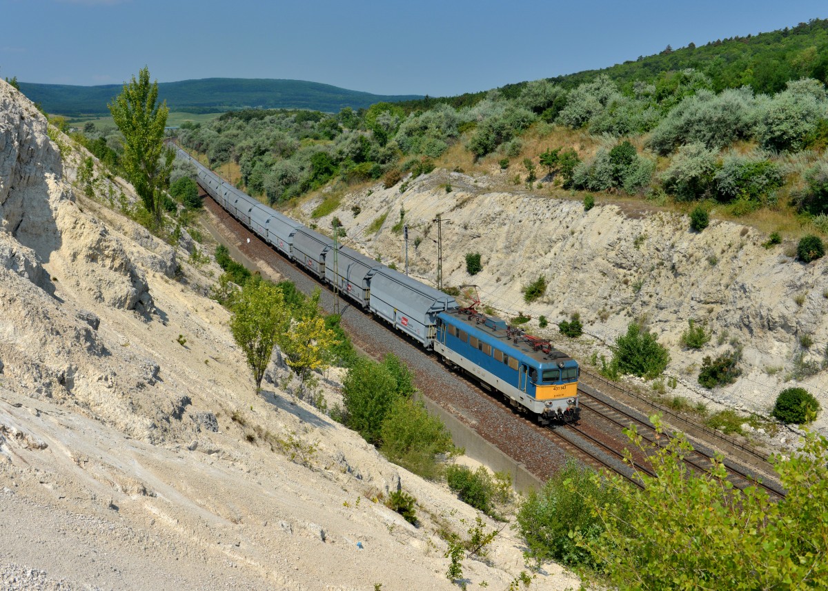 431 143 mit einem Güterzug am 27.07.2013 bei Szár.