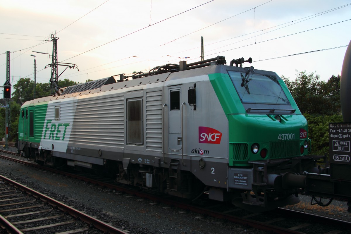 437001 Akiem in Hochstadt/ Marktzeuln am 11.06.2013.