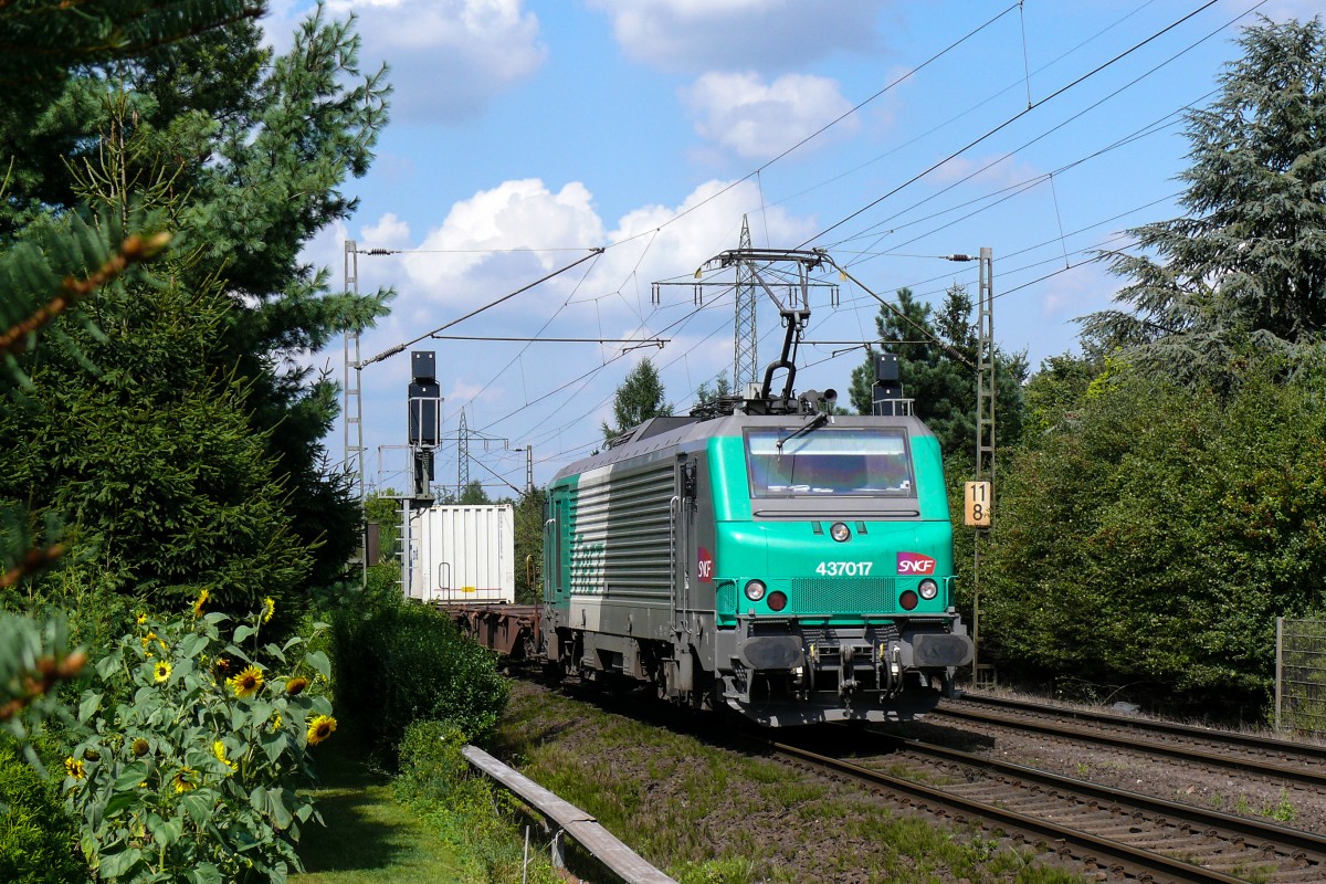 437017 der SNCF mit einem Containerzug unterwegs in Richtung Köln. Aufgenommen am 22/08/2009 kurz vor Lintorf.