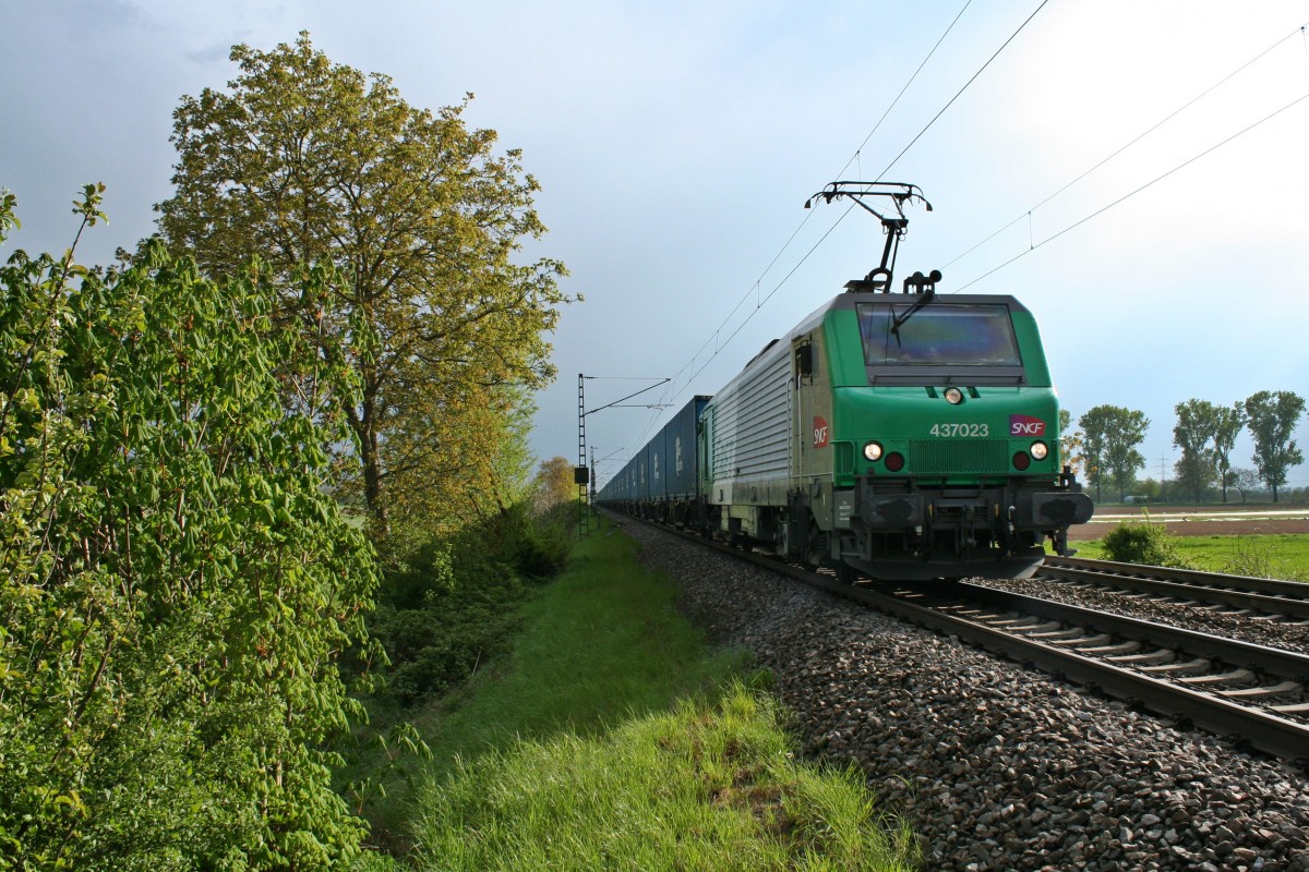 437023 mit der Blauen Wand alias DGS 40421 von Bantzenheim nach Malaszewicze am spten Nachmittag des 18.04.14 nrdlich von Mllheim (Baden).
Es war an diesem Tag tatschlich der Zug, welchen ich mit Sonne aufnehmen konnte.
Gre an den Lokfhrer!