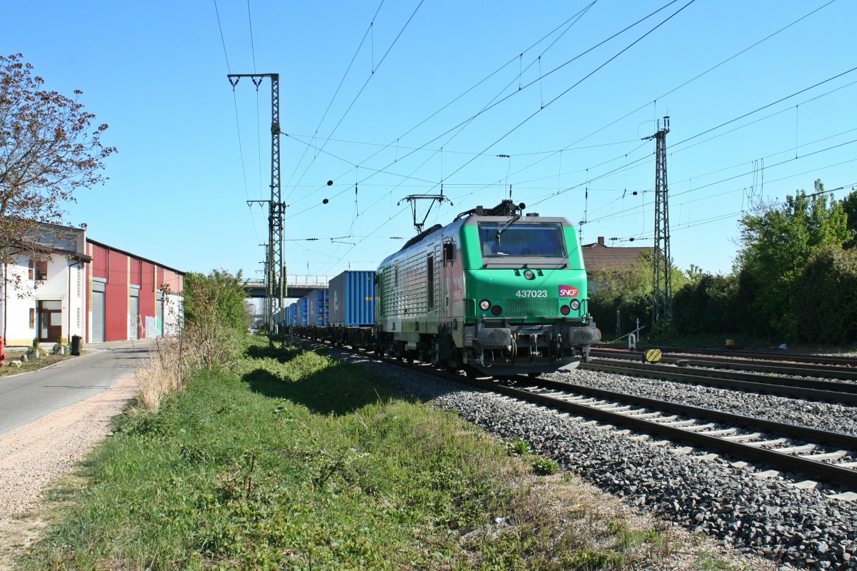 437023 stand am Vormittag des 17.04.14 mit dem DGS 40424 von Malaszewicze nach Bantzenheim
im Bahnhof Müllheim (Baden) auf Gleis 13. Vermutlich waren die Gleise in Bantzenheim noch besetzt, sodass der Zug fast ein einhalb Stunden in Müllheim warten musste.