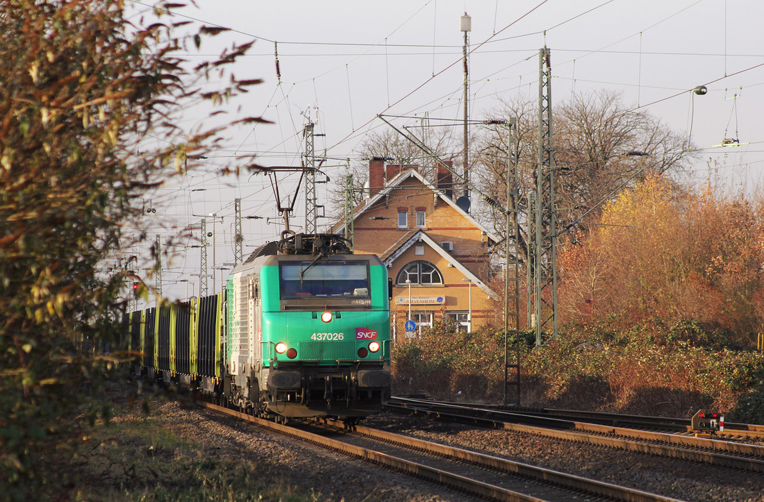 (4)37026 wurde am 30. November 2016 in Nievenheim dokumentiert.