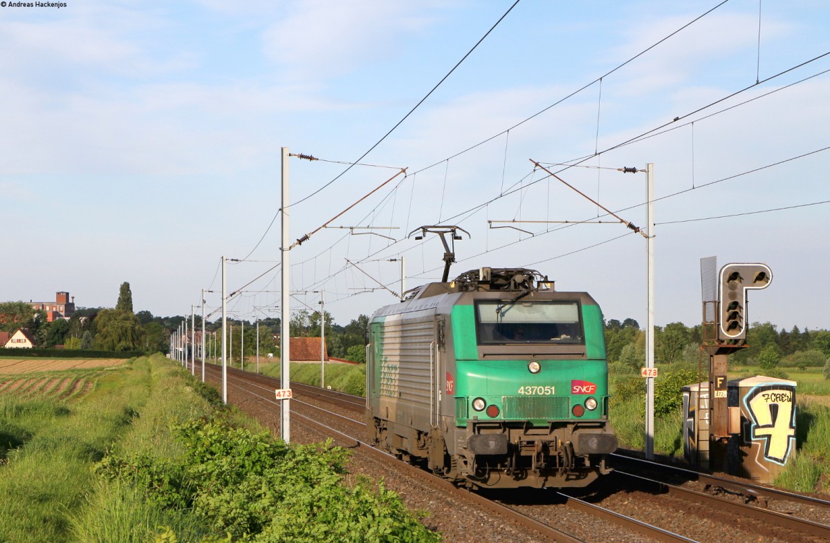437051 Lz bei Hochfelden 18.5.15