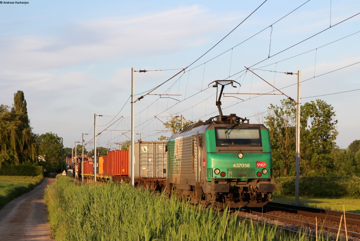 437056 mit einem Containerzug bei Hochfelden 18.5.15
