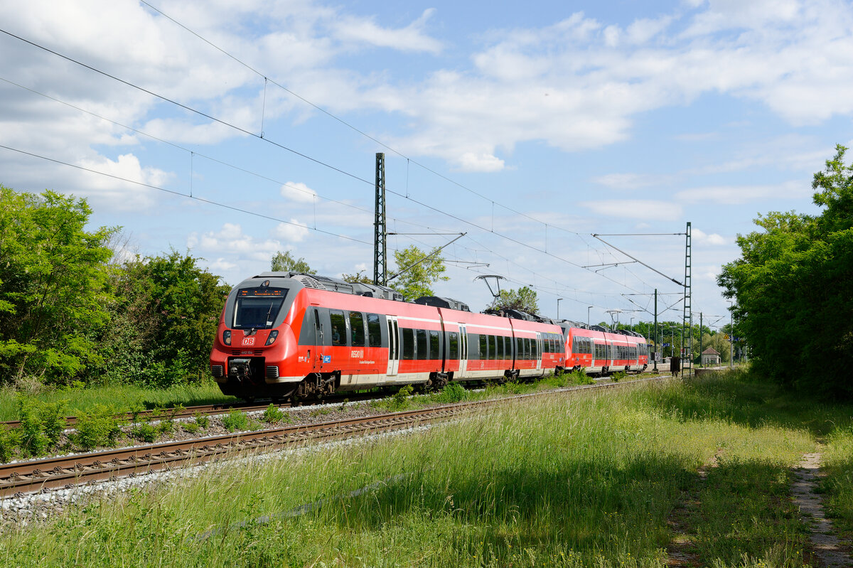 442 104 als RE 59384 (Nürnberg Hbf - Sonneberg (Thür) Hbf) bei Eggolsheim, 29.05.2020