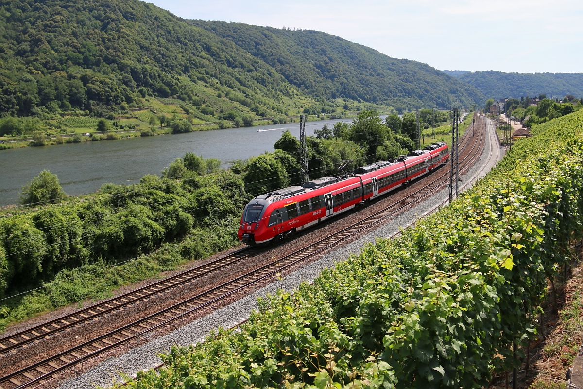 442 202/702 in Fahrtrichtung Koblenz. Aufgenommen am 18.07.2014 bei Winningen (Mosel).