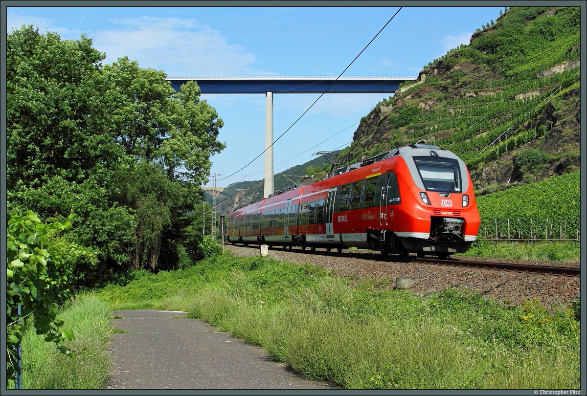 442 203 rollt am 08.08.2014 als RB 12217 durch das Moseltal bei Winningen Richtung Koblenz. Im Hintergrund die Moseltalbrücke.