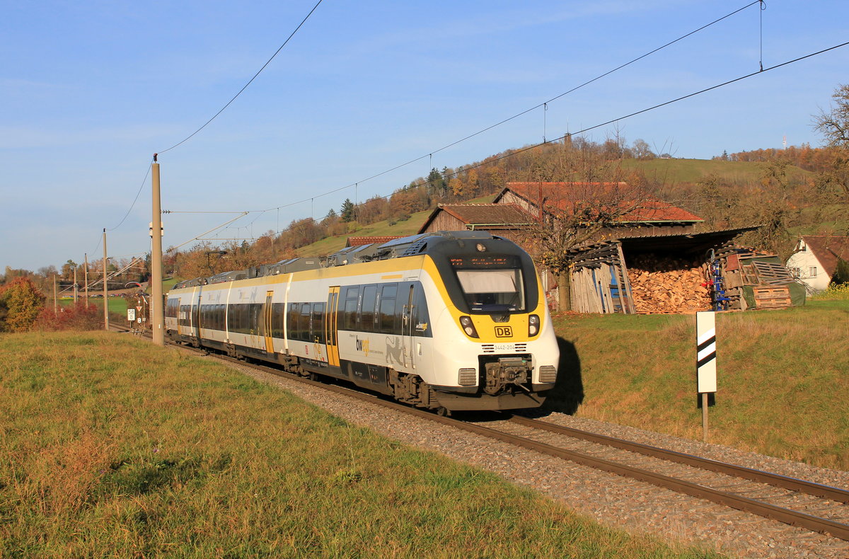 442 204 als RE Hessental-Stuttgart am 14.11.2020 bei Rauhenbretzingen. 