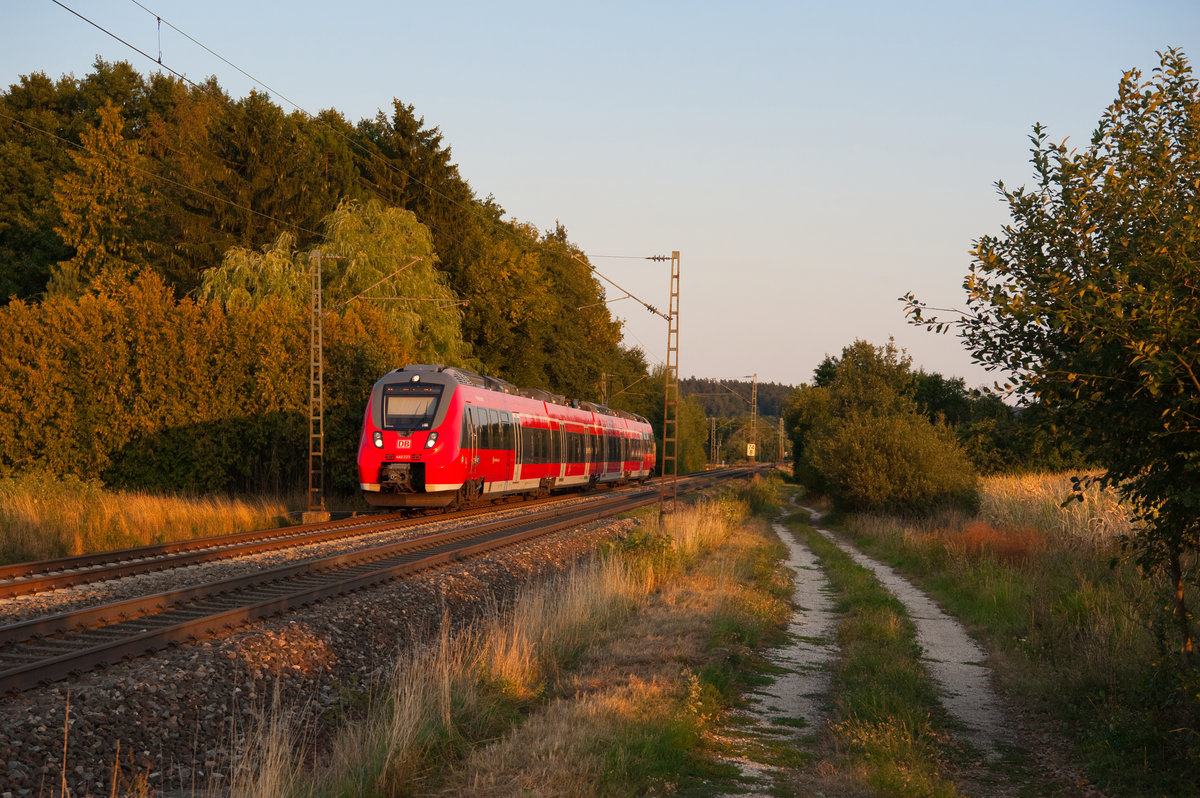 442 223 als S3 39374 von Neumarkt (Oberpf) nach Nürnberg Hbf bei Postbauer-Heng, 16.08.2018