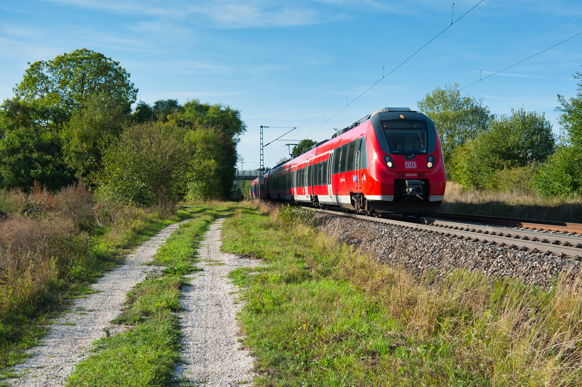 442 243 mit der S3 39359 von Nürnberg Hbf nach Neumarkt (Oberpf), 11.09.2018