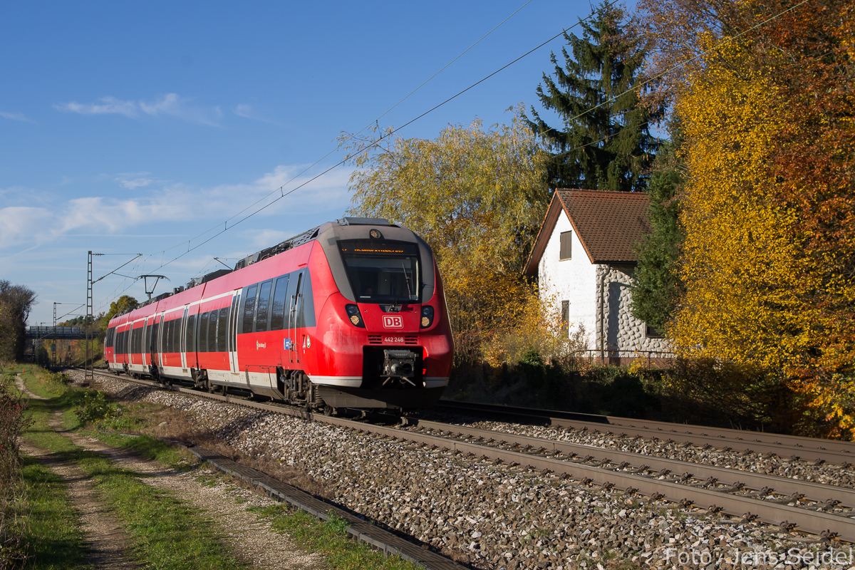 442 248 als S 39345 Nürnberg-Neumarkt (Oberpfalz) am 02.11.2015 bei Postbauer-Heng.