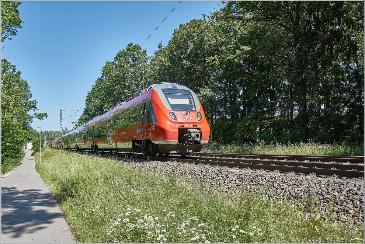 442 264 u.442 722 sind in Richtung Regensburg am 24.06.2020 unterwegs.