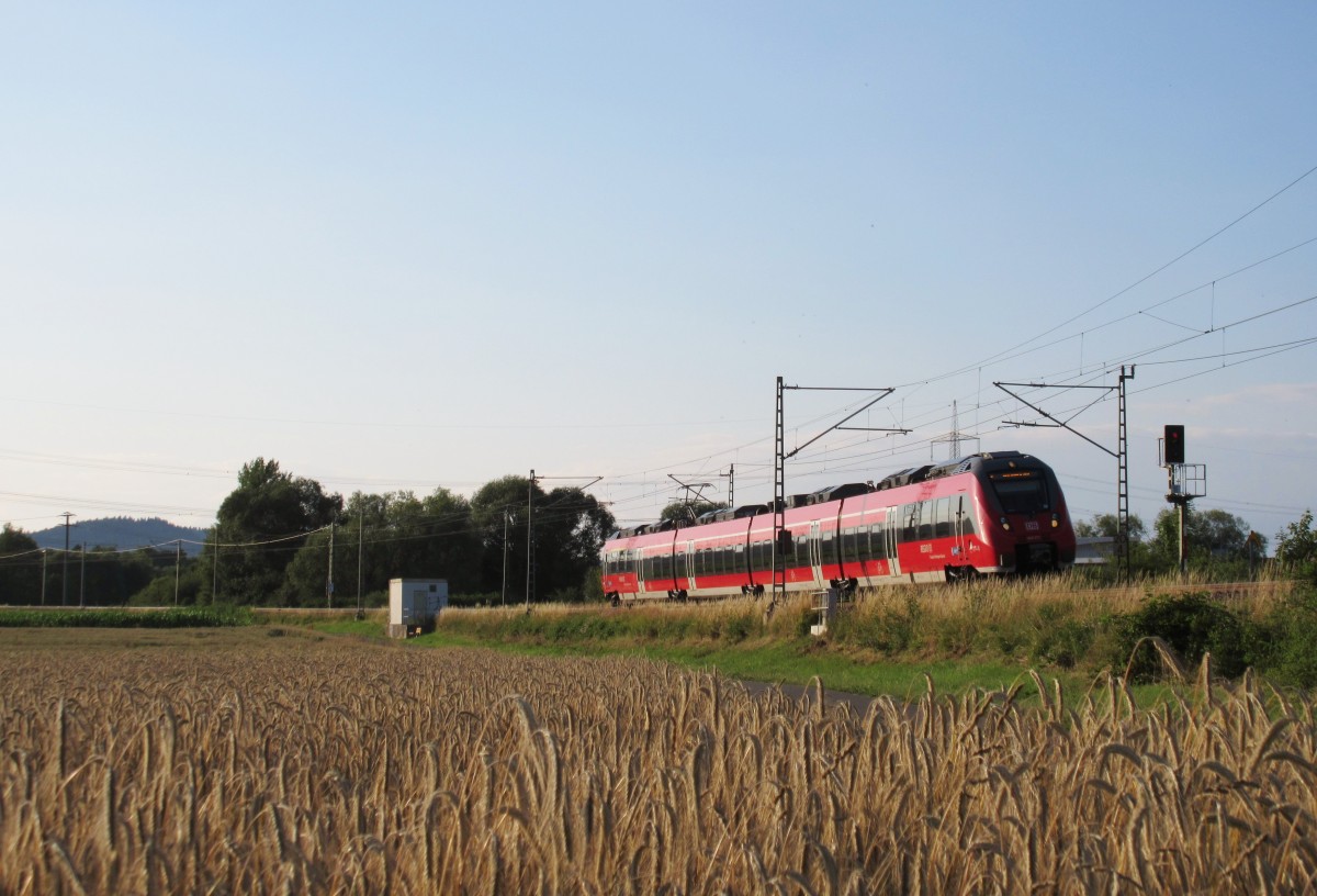 442 273 ist am 15.Juli 2014 als RE 4993 nach Nrnberg bei Gundelsdorf in Richtung Lichtenfels unterwegs.