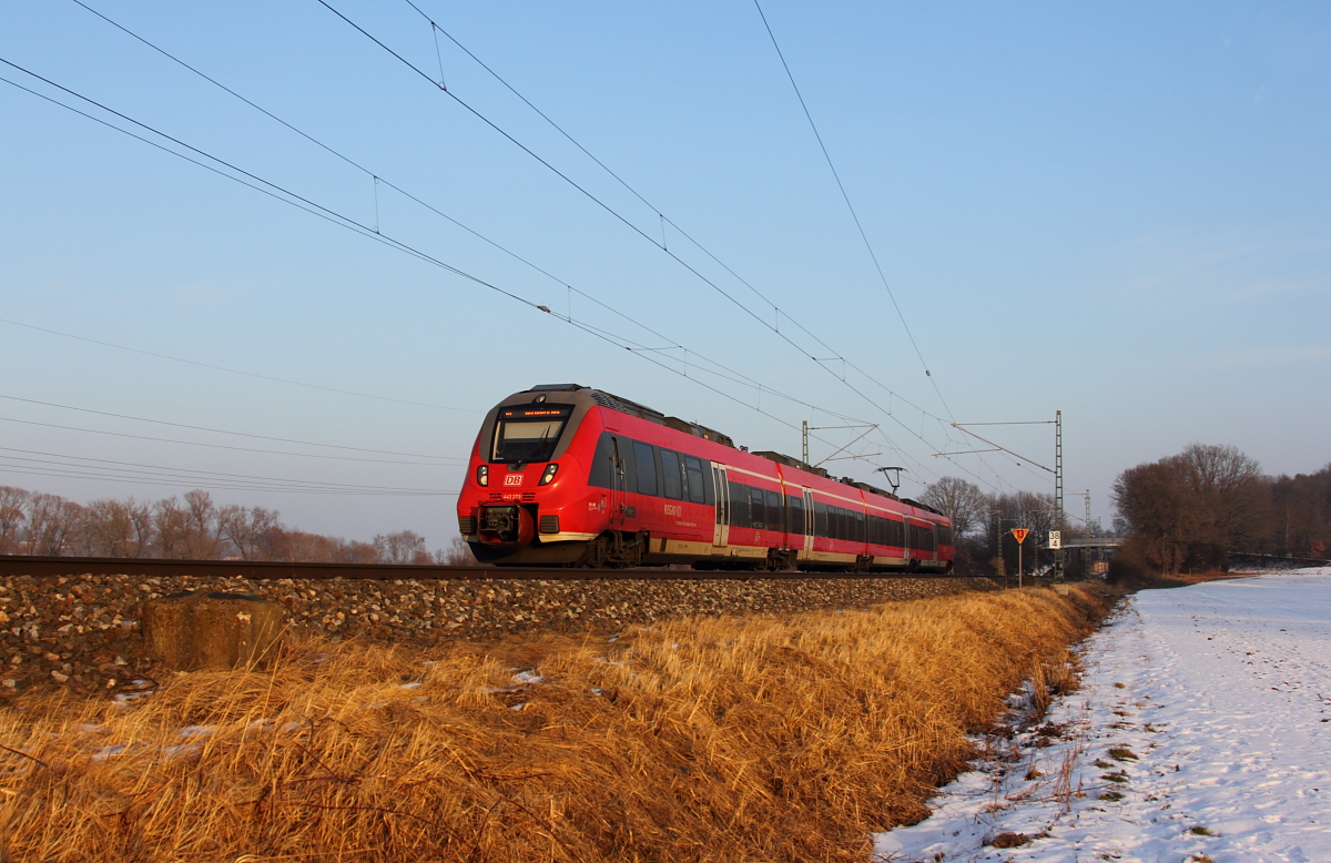 442 273 DB Regio bei Hochstadt/ Marktzeuln am 28.01.2017.