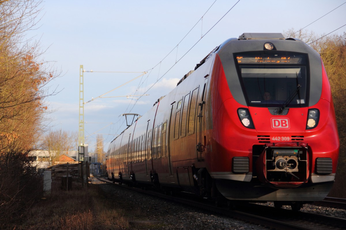 442 309 DB Regio bei Michelau am 09.02.2014.