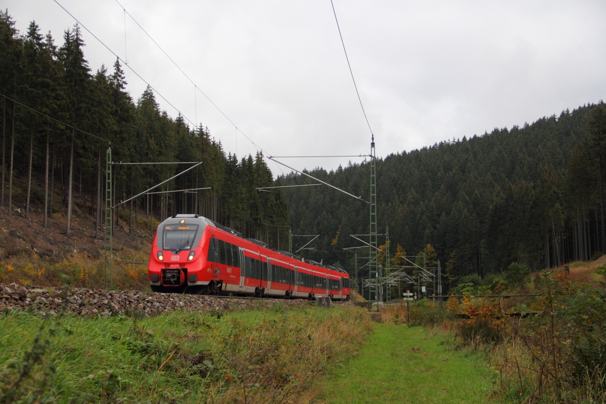 442 310 DB Regio auf der Frankenwaldrampe bei Förtschendorf am 09.10.2015.