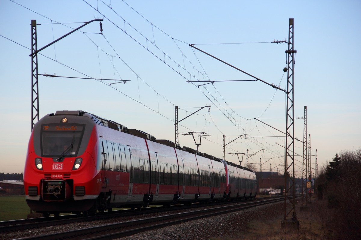 442 310 DB Regio bei Strullendorf am 07.01.2014.