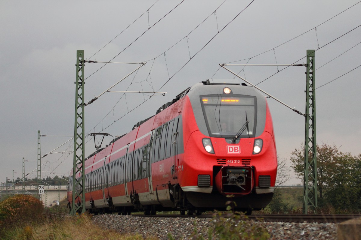 442 310 DB Regio bei Lichtenfels am 17.10.2015.
