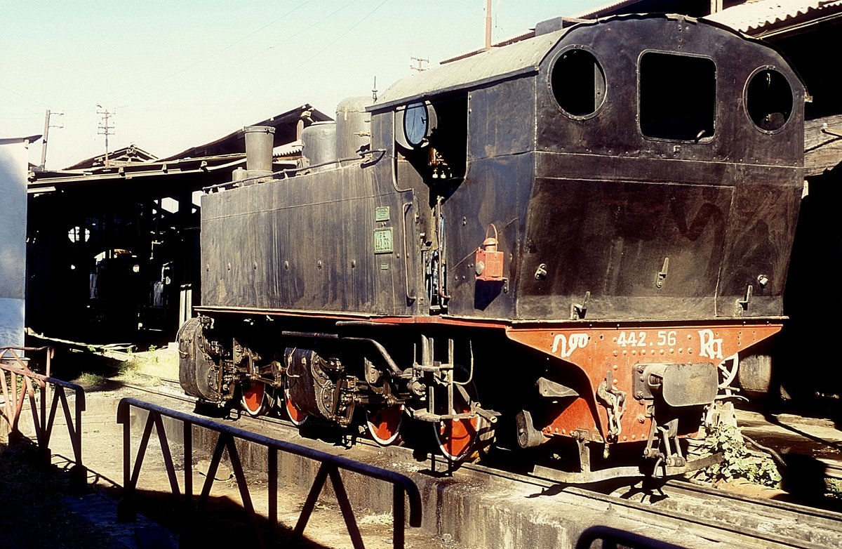 442 56  Asmara  13.12.12